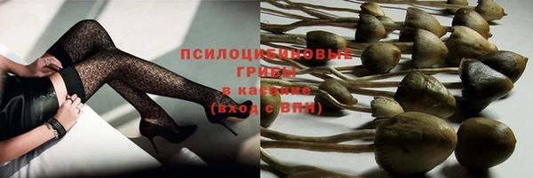 ешки Братск