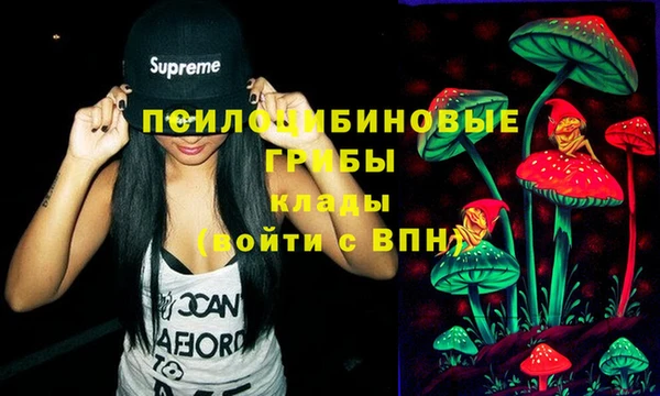 синтетический гашиш Осинники