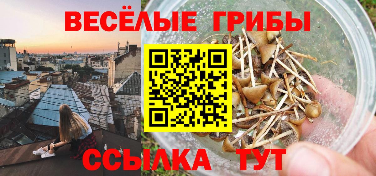 Псилоцибиновые грибы мицелий Североморск