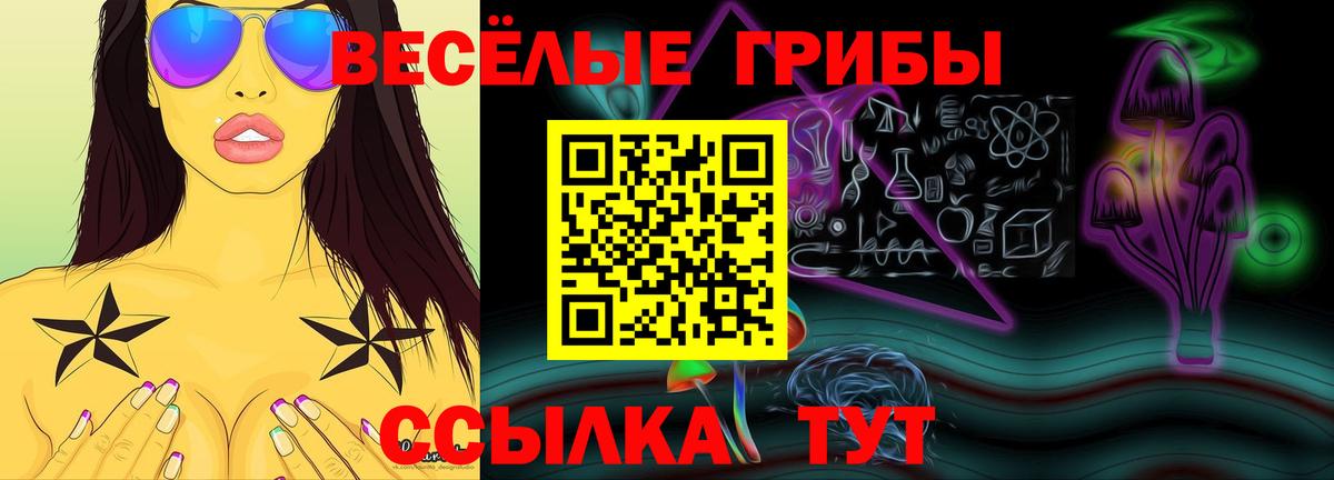 Кокаин  Североморск  Марихуана  Меф кристаллы  A PVP СК   Марихуана  ГАШ  Вход с VPN 